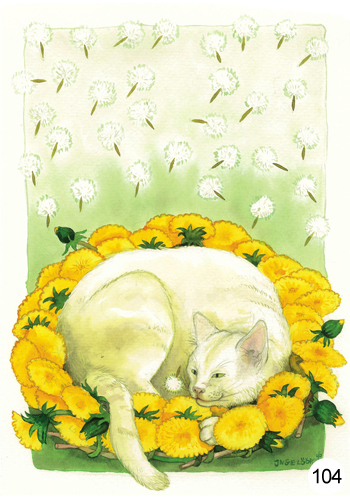 Inge Löök postikortti Valkoinen kissa